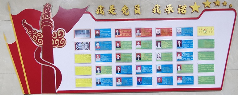 党员承诺宣传栏.jpg